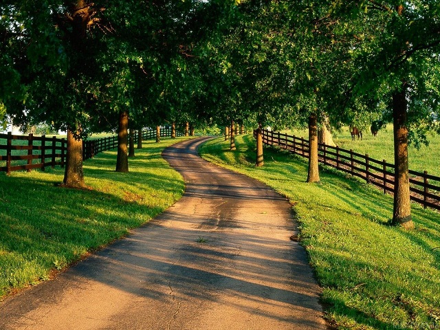 电话轰在线轰炸免费
